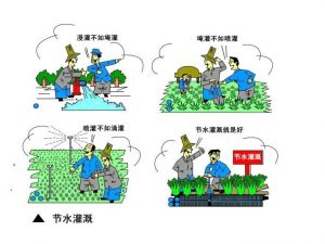 河北推进节水灌溉减少地下水开采