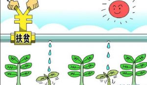 加压滴灌节水又增收